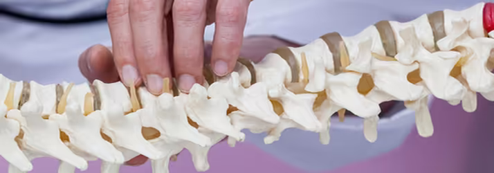 Educational Requirements, Chiropractor, Brooklyn, NY